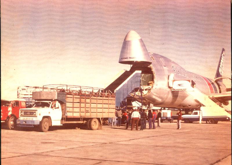 105 caballos en un solo avion.