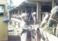 Caballos antes de Viajar