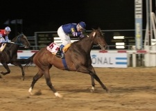 DWC - Dubai Carnival