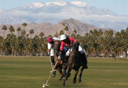 Palm Beach Polo